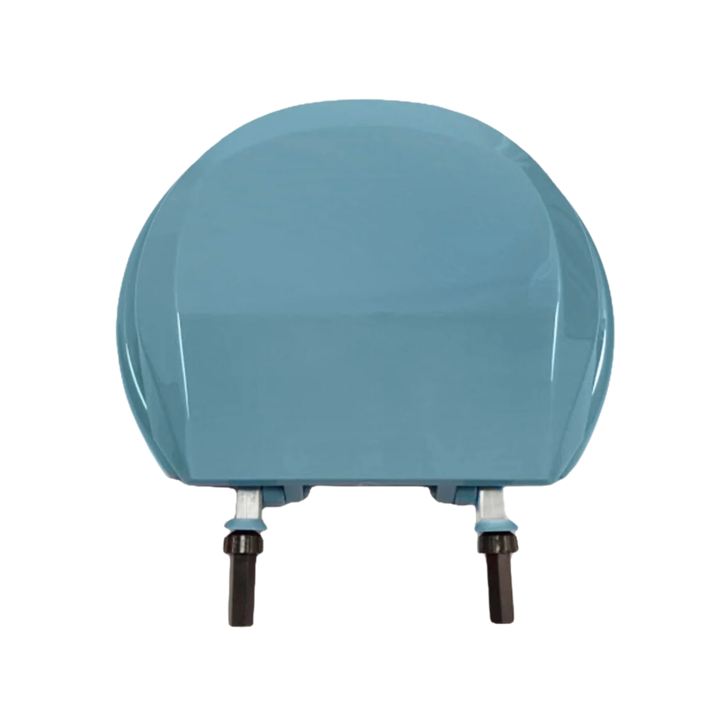 Asiento para baño azul holandés con tapa y herrajes de fijación