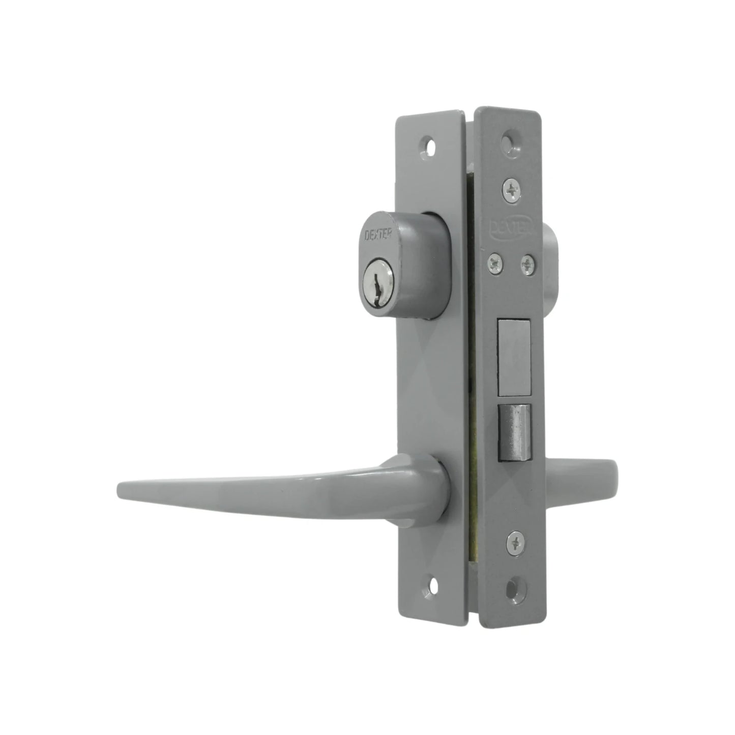 Cerradura/Chapa para puerta de aluminio gris Dexter 2001