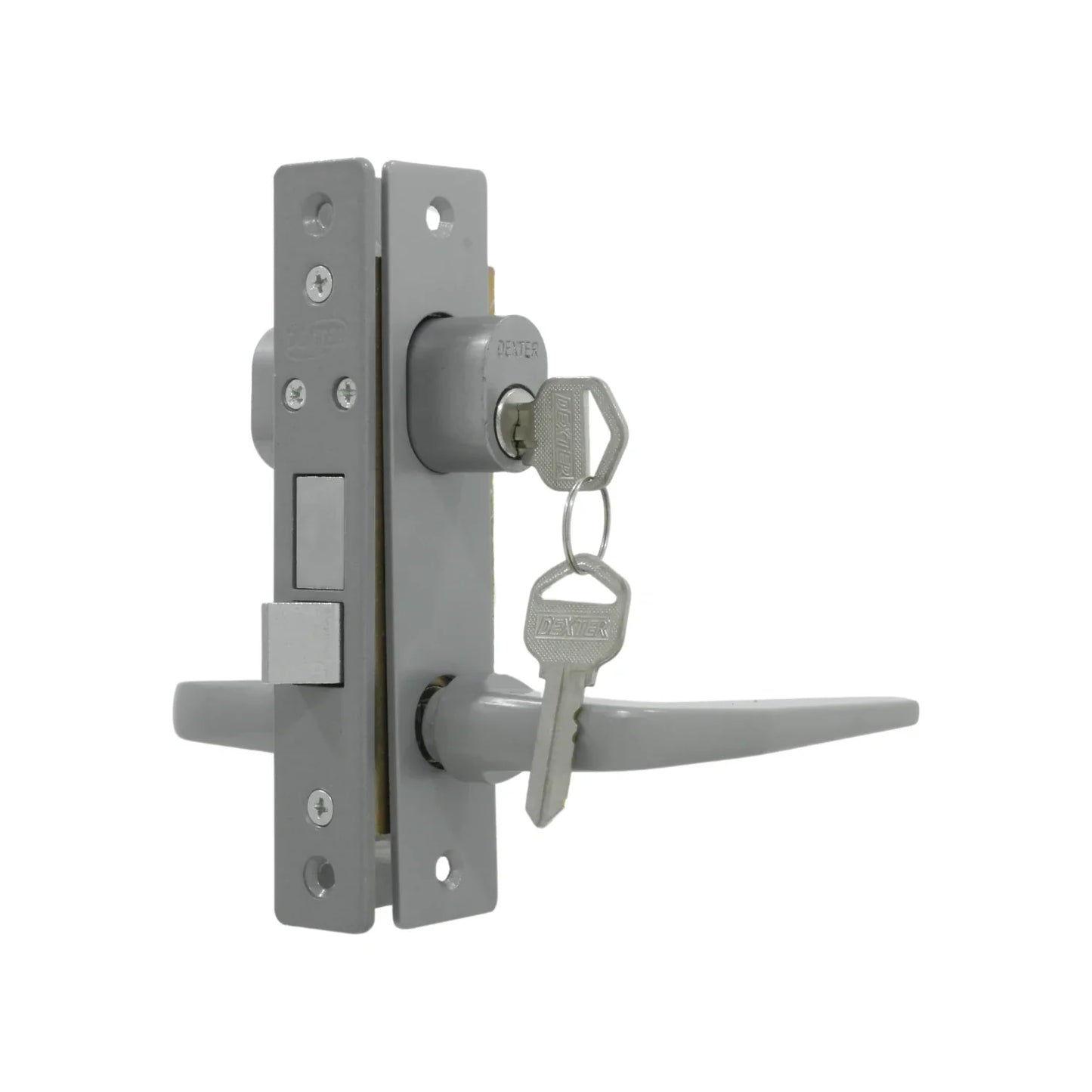 Cerradura/Chapa para puerta de aluminio gris Dexter 2001