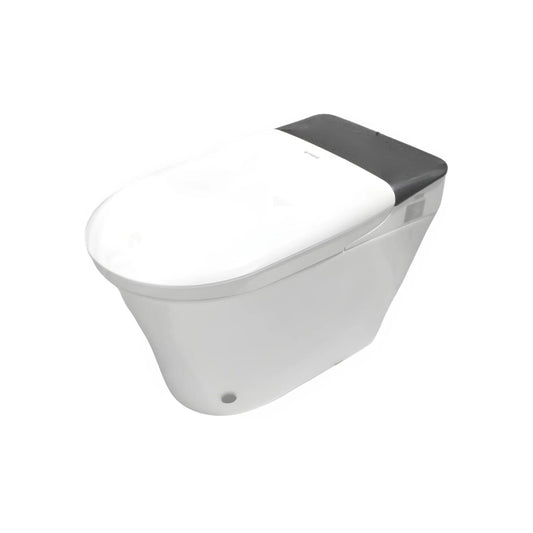 Baño/WC inteligente Fidic W8002