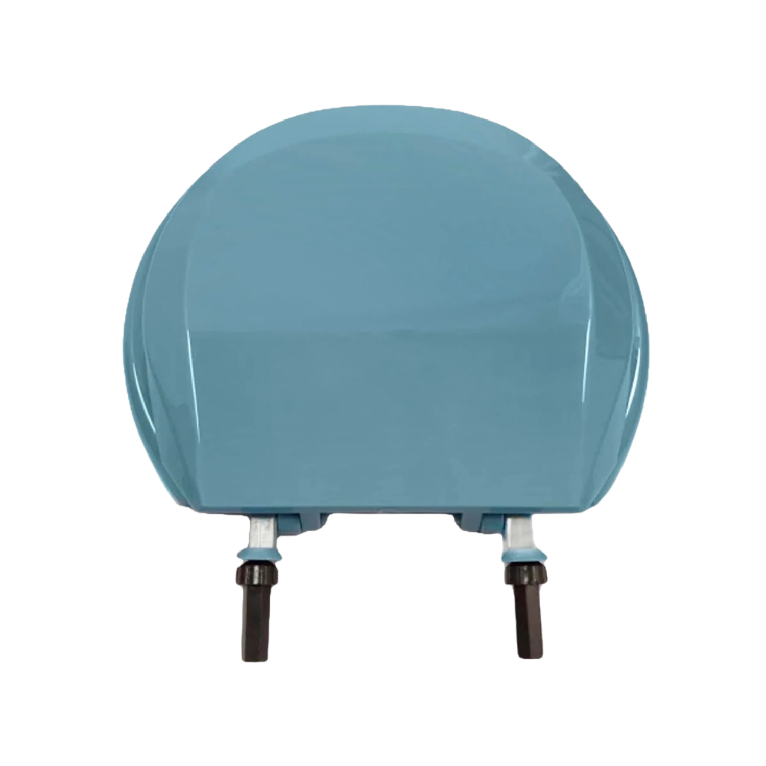 Asiento para baño azul holandés con tapa y herrajes de fijación