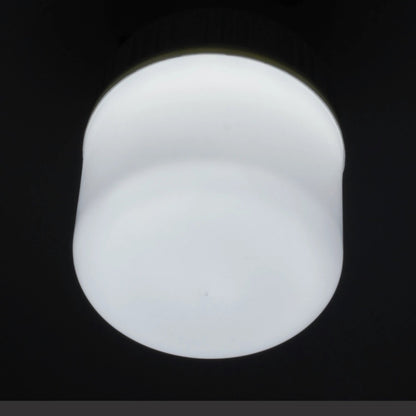 Foco LED blanco esmerilado, emite luz blanca fría y brillante. Ideal para iluminación potente de interiores.