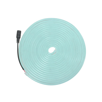 Tira led azul claro neón 5 m Maigoo MG02809