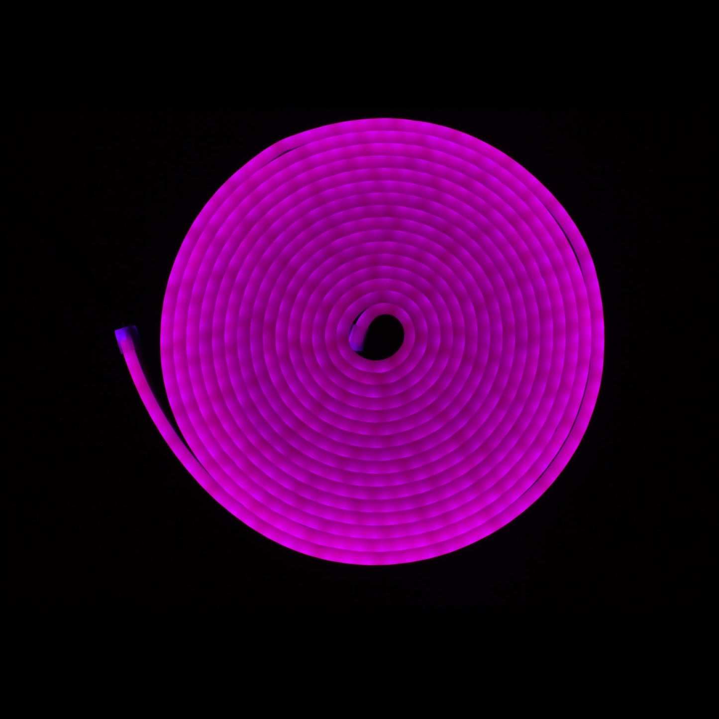 Tira LED neón morado de 5m enrollada, iluminación flexible para decoración de interiores