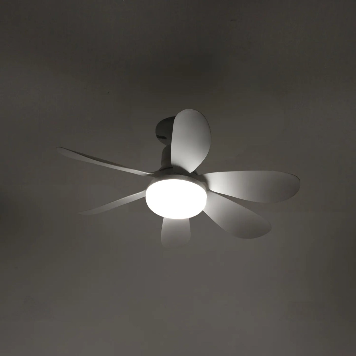 Ventilador de techo blanco con luz LED integrada y 5 aspas redondeadas de diseño moderno para interiores.