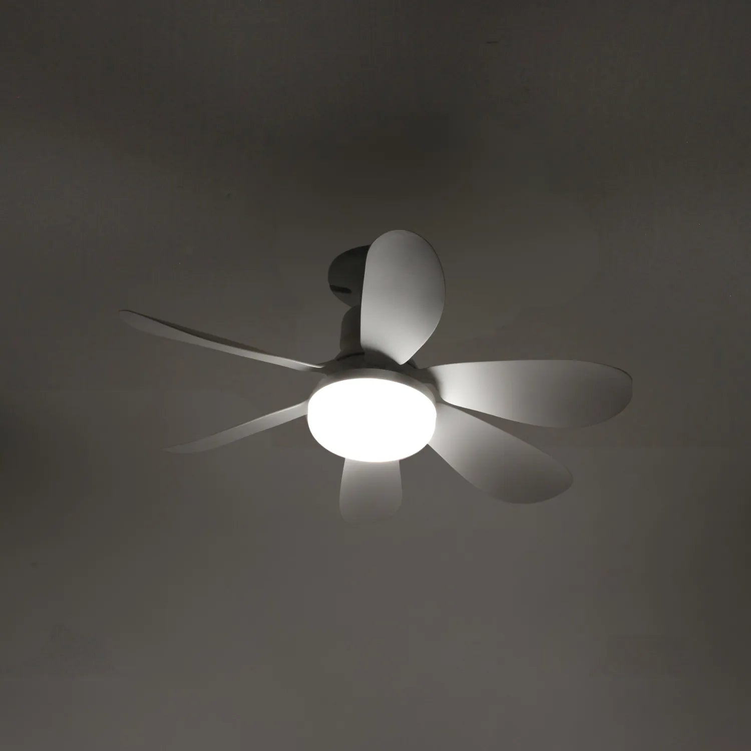 Ventilador de techo blanco con luz LED integrada y 5 aspas redondeadas de diseño moderno para interiores.
