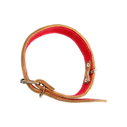 Collar extra grande 1A