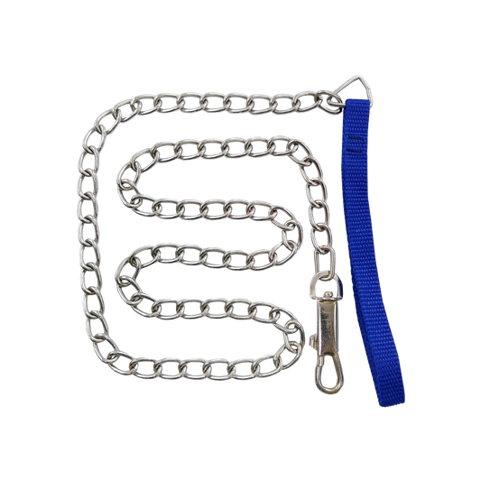 Cadena para perro de metal #3.5mm con correa de nylon azul y gancho mosquetón
