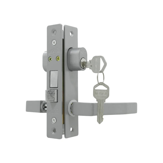 Cerradura/Chapa para puerta de aluminio gris Dexter 2006