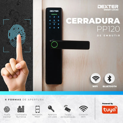 Cerradura/Chapa inteligente entrada principal WIFI negra Dexter 16205