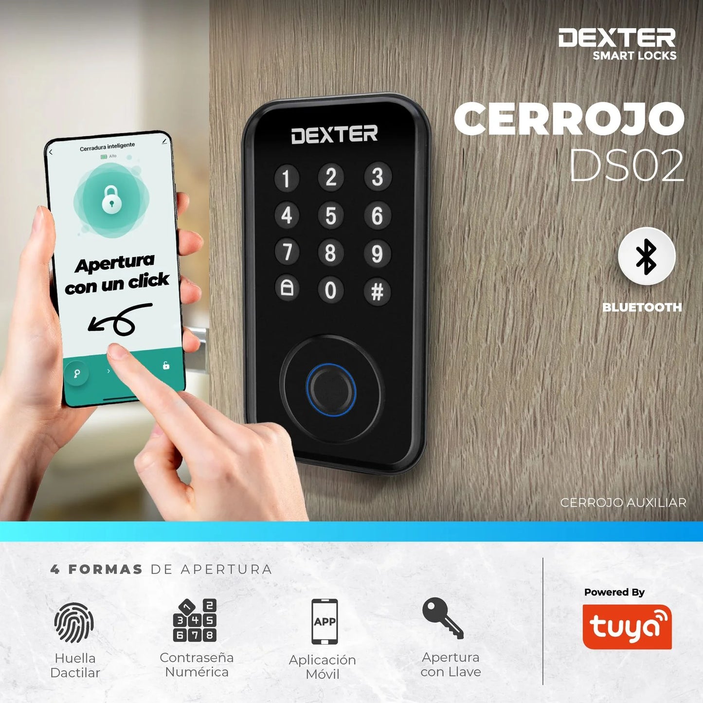 Cerradura/Chapa inteligente negro Dexter 16210