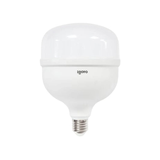 Lámpara de bulbo 50 W led luz fría alto poder Igoto F10550