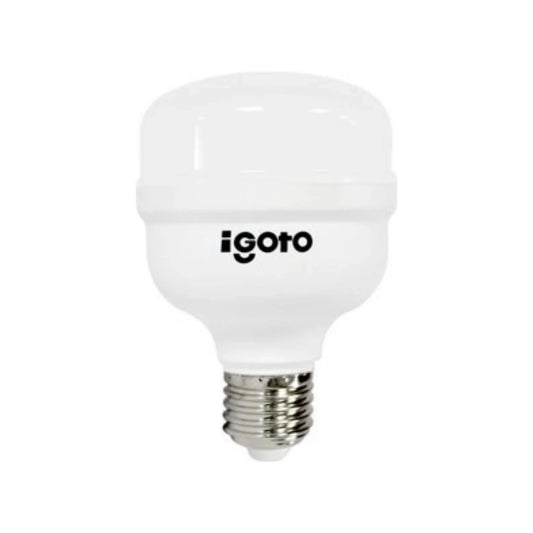 Lámpara de bulbo 20 W led luz fría alto poder Igoto F10520