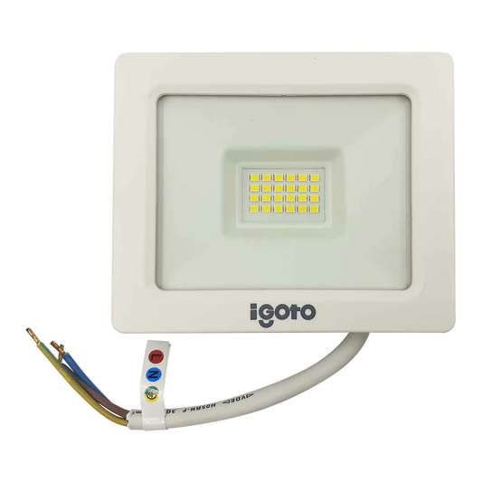 Reflector 20 W led blanco luz fría ip65 Igoto REF3020