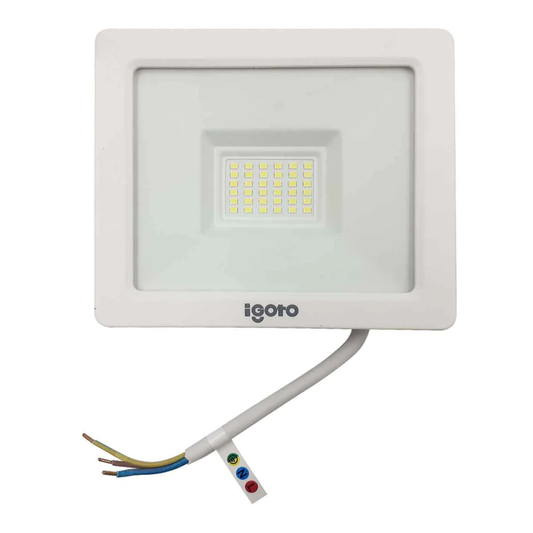 Reflector 30 W led luz fría ip65 Igoto REF3030