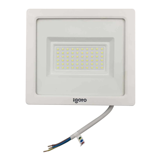 Reflector 50 W led blanco luz fría ip65 Igoto REF3050