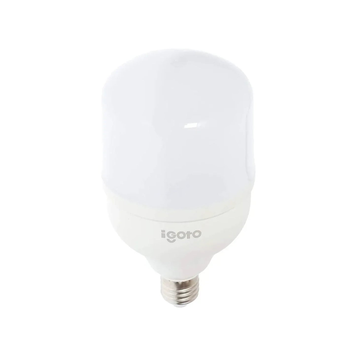 Foco led 100 W luz blanca/fría alto poder Igoto F105100