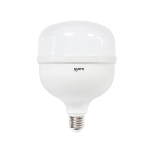 Lámpara de bulbo 70 W led luz fría alto poder Igoto F10570