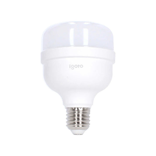 Lámpara de bulbo 20 W led luz cálida alto poder Igoto F20520