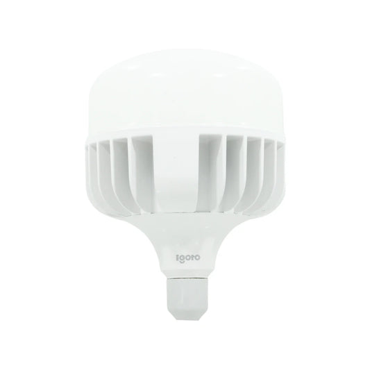 Lámpara de bulbo 70 W led luz fría multivoltaje Igoto F10870