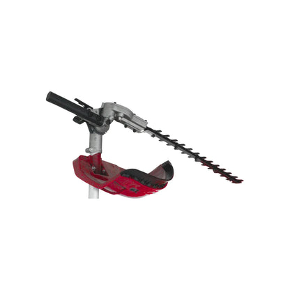 Desbrozadora 52 CC 2 HP 4 en 1 Igoto DB1003
