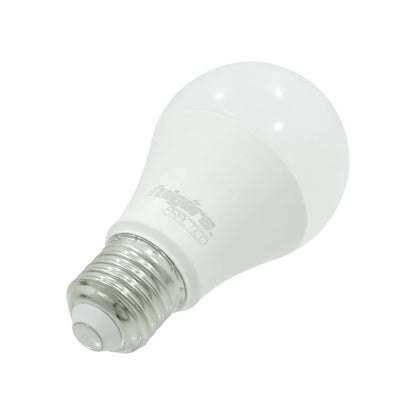 Lámpara de bulbo 5 W led luz cálida Fulgore práctico FP0226