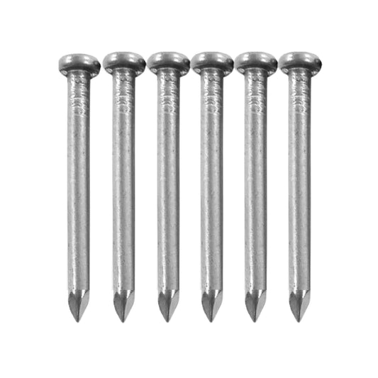 Seis clavos para madera galvanizados de 2 pulgadas, cabeza plana y punta afilada